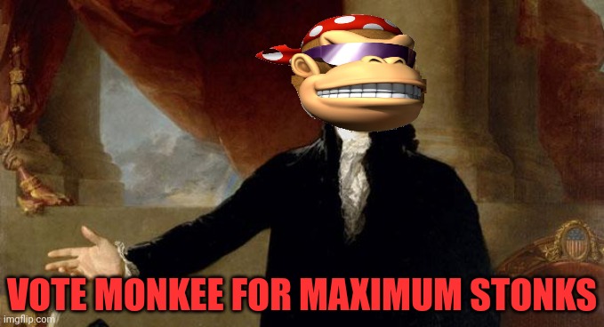 george washington | VOTE MONKEE FOR MAXIMUM STONKS | image tagged in george washington | made w/ Imgflip meme maker