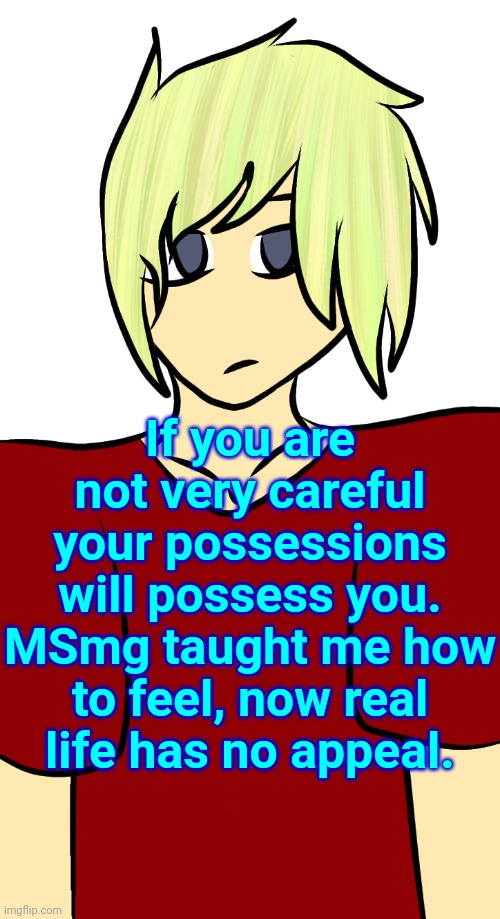 Blonde mf | If you are not very careful your possessions will possess you. MSmg taught me how to feel, now real life has no appeal. | image tagged in blonde mf | made w/ Imgflip meme maker