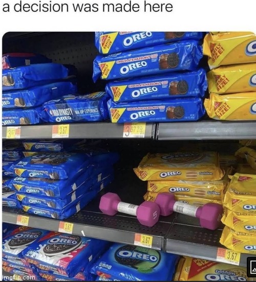 image tagged in memes,decision | made w/ Imgflip meme maker