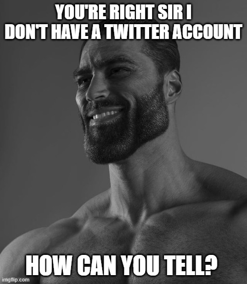 Giga Chad | YOU'RE RIGHT SIR I DON'T HAVE A TWITTER ACCOUNT; HOW CAN YOU TELL? | image tagged in giga chad | made w/ Imgflip meme maker