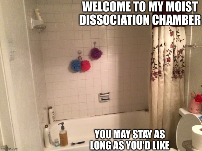 WELCOME TO MY MOIST DISSOCIATION CHAMBER; YOU MAY STAY AS LONG AS YOU'D LIKE | made w/ Imgflip meme maker