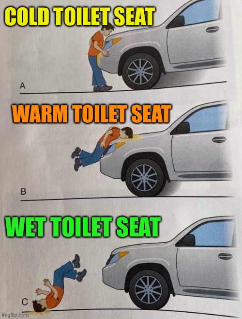bad, worse, even worse | COLD TOILET SEAT WET TOILET SEAT WARM TOILET SEAT | image tagged in bad worse even worse | made w/ Imgflip meme maker