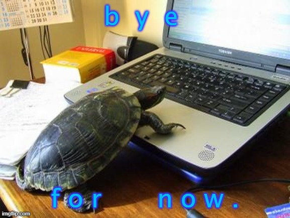 turtle typing | b  y  e; f o r       n o w . | image tagged in turtle computer | made w/ Imgflip meme maker