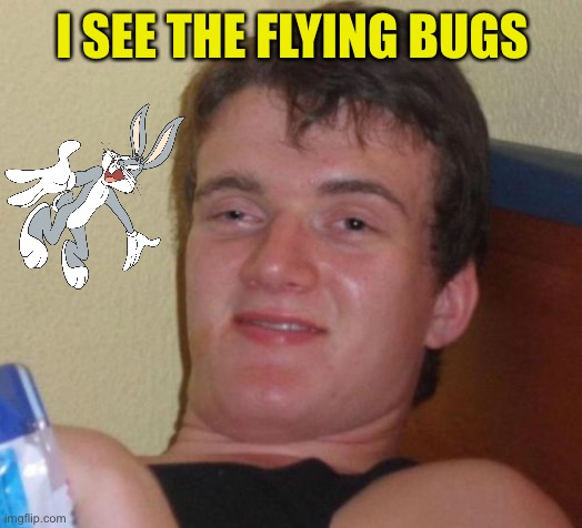 10 Guy Meme | I SEE THE FLYING BUGS | image tagged in memes,10 guy | made w/ Imgflip meme maker