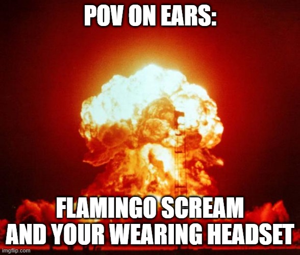 ahhhhhhhhhhhhhhhhhhhhhhhhhhhhhhhhhhhhhhhhh | POV ON EARS:; FLAMINGO SCREAM AND YOUR WEARING HEADSET | image tagged in nuke | made w/ Imgflip meme maker