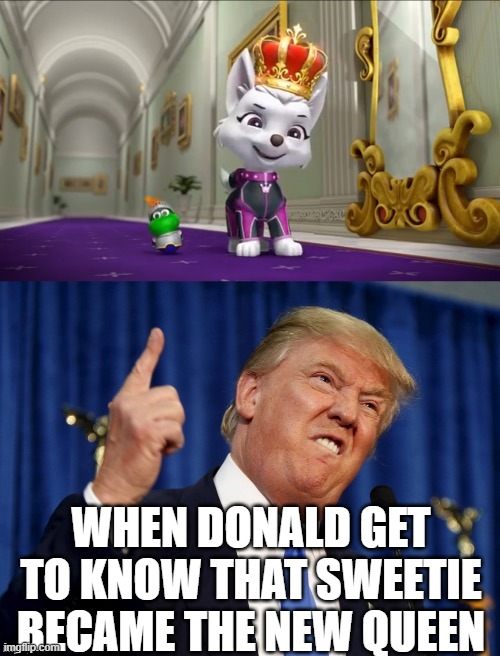 PAW Patrol Sweetie Vs Donald Trump | WHEN DONALD GET TO KNOW THAT SWEETIE BECAME THE NEW QUEEN | image tagged in paw patrol sweetie vs donald trump | made w/ Imgflip meme maker