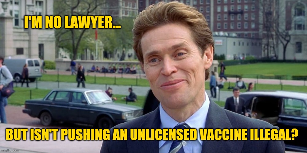 I believe so. | I'M NO LAWYER... BUT ISN'T PUSHING AN UNLICENSED VACCINE ILLEGAL? | image tagged in memes | made w/ Imgflip meme maker