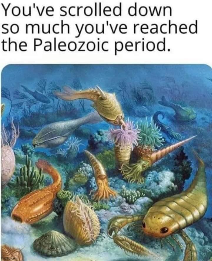 Scrolled down to Paleozoic period | image tagged in scrolled down to paleozoic period | made w/ Imgflip meme maker