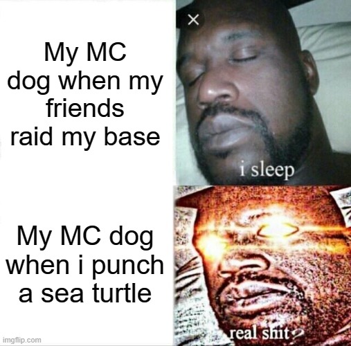 Sleeping Shaq Meme | My MC dog when my friends raid my base; My MC dog when i punch a sea turtle | image tagged in memes,sleeping shaq | made w/ Imgflip meme maker