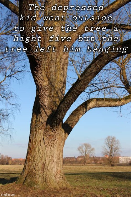 Lol | The depressed kid went outside to give the tree a hight five but the tree left him hanging | image tagged in tree | made w/ Imgflip meme maker