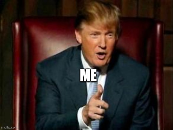 Donald Trump | ME | image tagged in donald trump | made w/ Imgflip meme maker