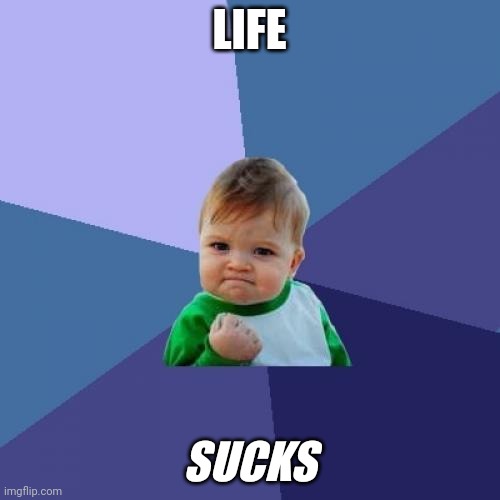 Success Kid Meme | LIFE; SUCKS | image tagged in memes,success kid | made w/ Imgflip meme maker