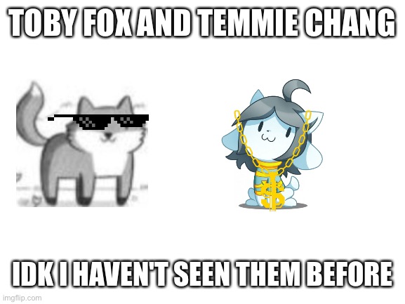 Blank White Template | TOBY FOX AND TEMMIE CHANG; IDK I HAVEN'T SEEN THEM BEFORE | image tagged in undertale,deltarune,toby fox,temmie chang,fox,temmie | made w/ Imgflip meme maker