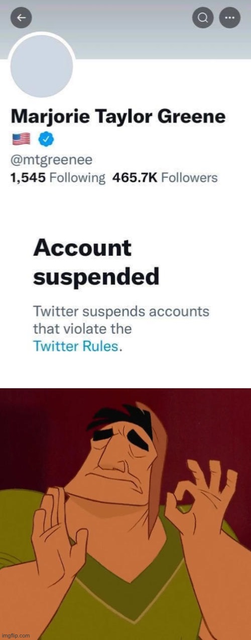 Another one bites the dust! | image tagged in mtg account suspended,when x just right,twitter,mtg,banned,cancelled | made w/ Imgflip meme maker
