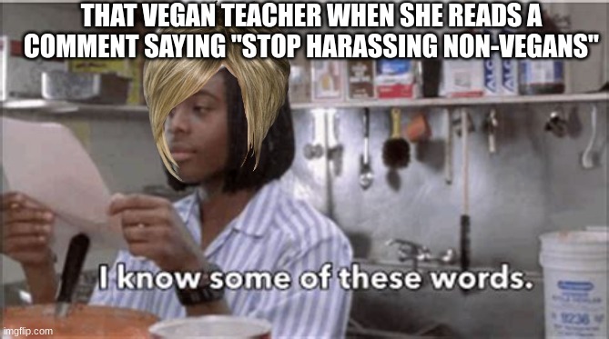 Ban Vegan Teacher |  THAT VEGAN TEACHER WHEN SHE READS A COMMENT SAYING "STOP HARASSING NON-VEGANS" | image tagged in i know some of these words | made w/ Imgflip meme maker