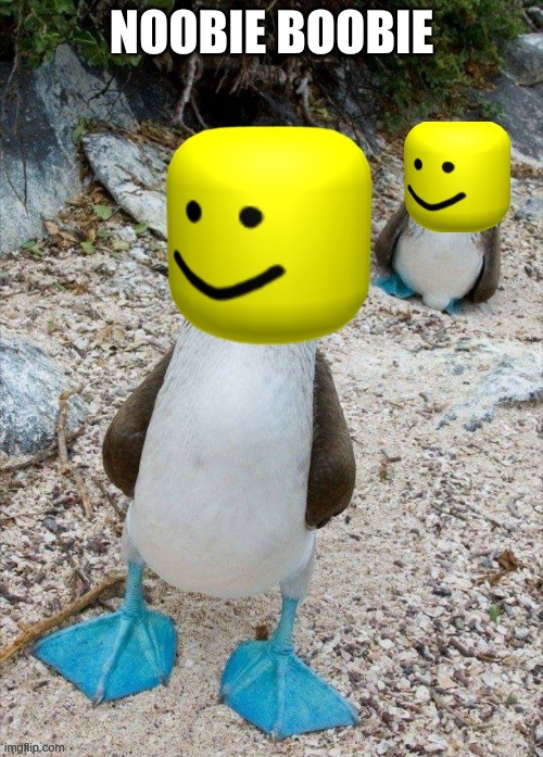 @Snow_Spire | NOOBIE BOOBIE | image tagged in noobie boobie | made w/ Imgflip meme maker
