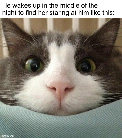 He wakes up in the middle of the night to find her staring at him like this: | made w/ Imgflip meme maker