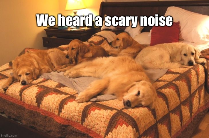 We heard a scary noise | made w/ Imgflip meme maker