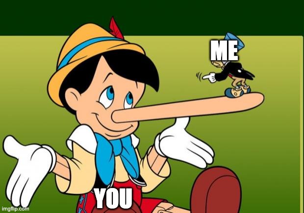 Liar | ME YOU | image tagged in liar | made w/ Imgflip meme maker