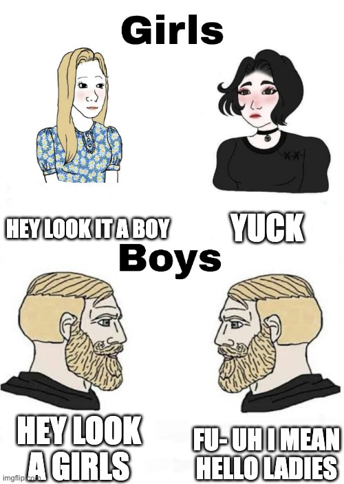 Girls vs Boys | HEY LOOK IT A BOY YUCK HEY LOOK A GIRLS FU- UH I MEAN HELLO LADIES | image tagged in girls vs boys | made w/ Imgflip meme maker