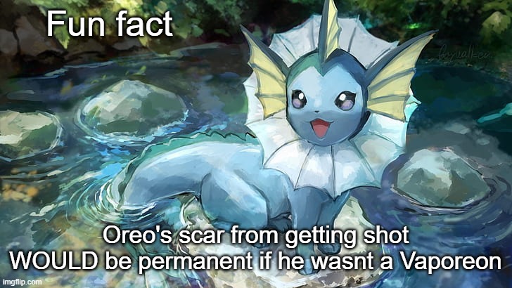 Oreo isnt in any pain and he is happy :) | Fun fact; Oreo's scar from getting shot WOULD be permanent if he wasnt a Vaporeon | image tagged in hazza announcement | made w/ Imgflip meme maker