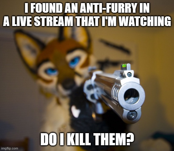 ? | I FOUND AN ANTI-FURRY IN A LIVE STREAM THAT I'M WATCHING; DO I KILL THEM? | image tagged in furry with gun | made w/ Imgflip meme maker