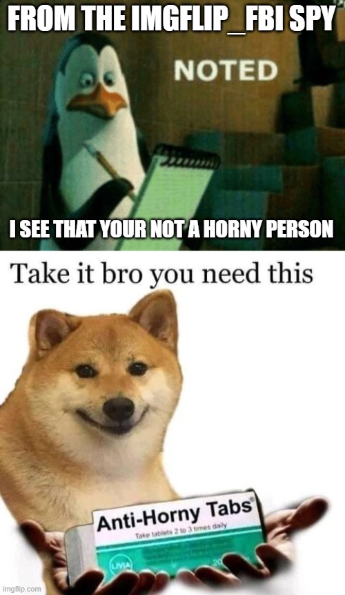 FROM THE IMGFLIP_FBI SPY I SEE THAT YOUR NOT A HORNY PERSON | image tagged in noted,take it bro you need this | made w/ Imgflip meme maker