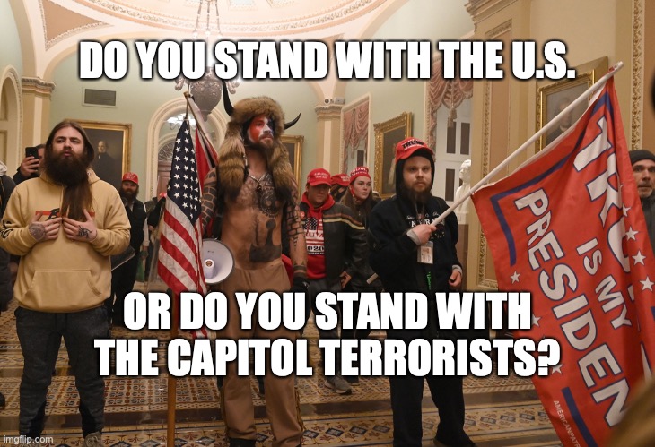 Capitol terrorists | DO YOU STAND WITH THE U.S. OR DO YOU STAND WITH THE CAPITOL TERRORISTS? | image tagged in trump thugs attack capitol,republicans,terrorists,trump | made w/ Imgflip meme maker