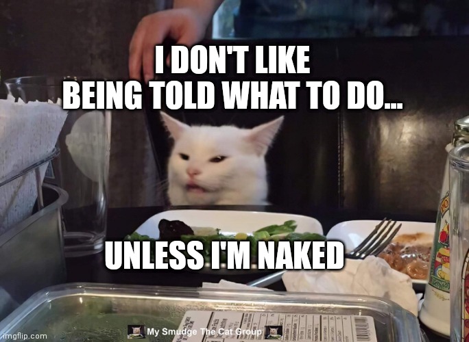 I DON'T LIKE BEING TOLD WHAT TO DO... UNLESS I'M NAKED | image tagged in smudge the cat | made w/ Imgflip meme maker