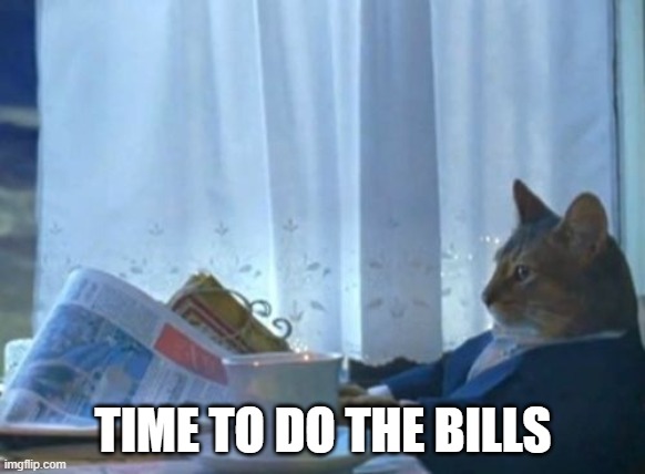 I Should Buy A Boat Cat |  TIME TO DO THE BILLS | image tagged in memes,i should buy a boat cat | made w/ Imgflip meme maker
