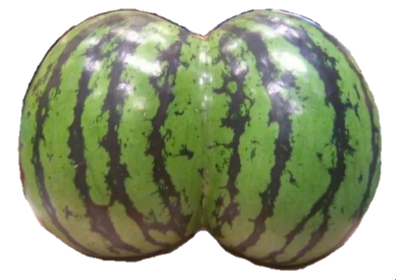 Water melon Blank Meme Template
