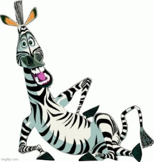 Zebra | image tagged in zebra | made w/ Imgflip meme maker