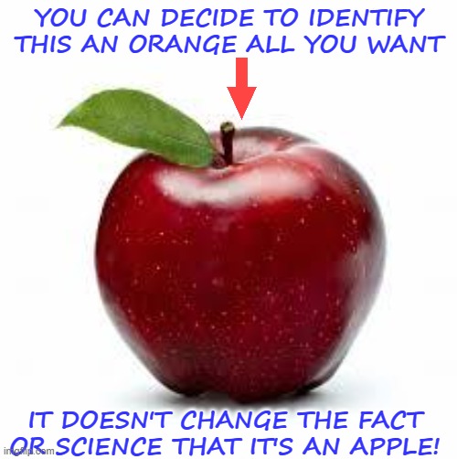 Facts And Science Are Not Phobias! |  YOU CAN DECIDE TO IDENTIFY THIS AN ORANGE ALL YOU WANT; IT DOESN'T CHANGE THE FACT OR SCIENCE THAT IT'S AN APPLE! | image tagged in apple,fruits,truth,science,phobia,facts | made w/ Imgflip meme maker