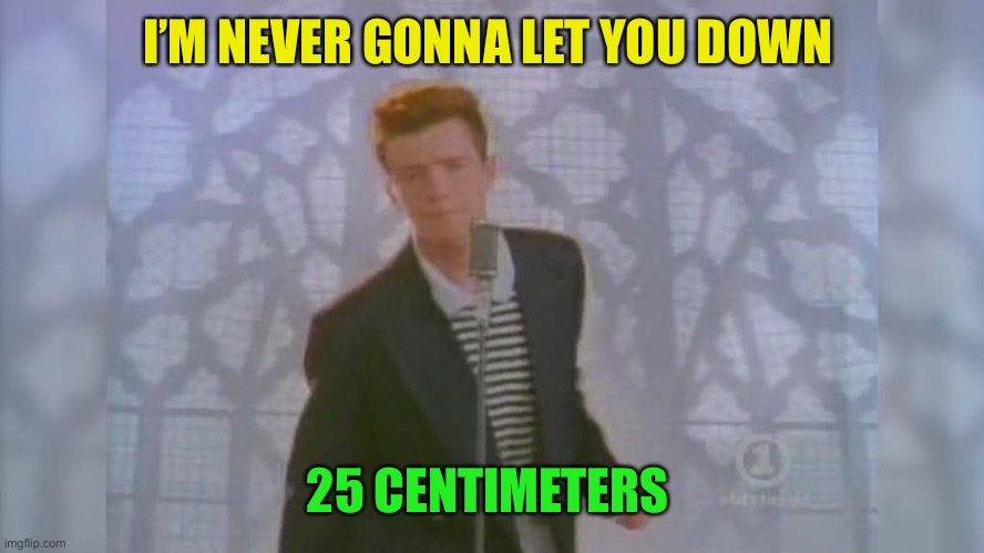 Rick Roll | I’M NEVER GONNA LET YOU DOWN 25 CENTIMETERS | image tagged in rick roll | made w/ Imgflip meme maker