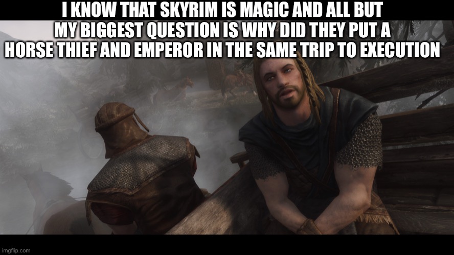 No really | I KNOW THAT SKYRIM IS MAGIC AND ALL BUT MY BIGGEST QUESTION IS WHY DID THEY PUT A HORSE THIEF AND EMPEROR IN THE SAME TRIP TO EXECUTION | image tagged in skyrim you're finally awake | made w/ Imgflip meme maker