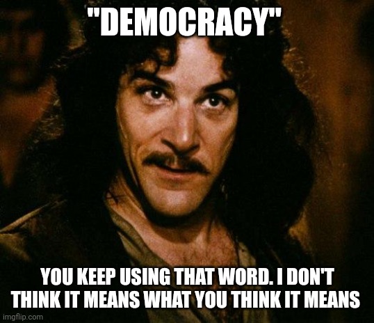 Inigo Montoya Meme | "DEMOCRACY"; YOU KEEP USING THAT WORD. I DON'T THINK IT MEANS WHAT YOU THINK IT MEANS | image tagged in memes,inigo montoya | made w/ Imgflip meme maker