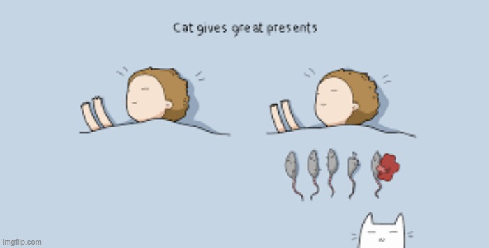 A Cat's Way Of Thinking | image tagged in memes,comics,cats,give,great,presents | made w/ Imgflip meme maker