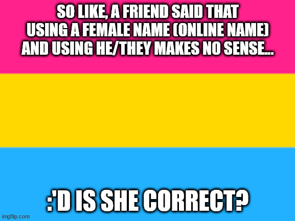 My is Name Serene :) | SO LIKE, A FRIEND SAID THAT USING A FEMALE NAME (ONLINE NAME) AND USING HE/THEY MAKES NO SENSE... :'D IS SHE CORRECT? | image tagged in pansexual flag | made w/ Imgflip meme maker