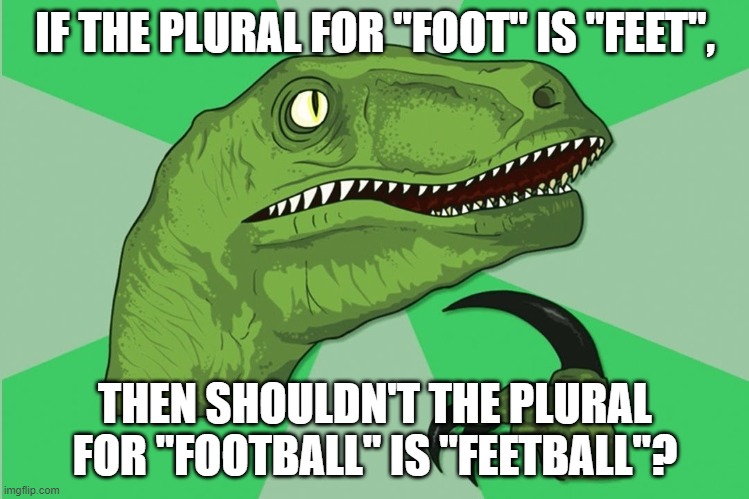 new philosoraptor | IF THE PLURAL FOR "FOOT" IS "FEET", THEN SHOULDN'T THE PLURAL FOR "FOOTBALL" IS "FEETBALL"? | image tagged in philosoraptor,football meme | made w/ Imgflip meme maker