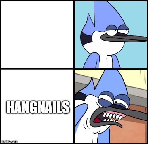 do not like them | HANGNAILS | image tagged in mordecai disgusted,memes | made w/ Imgflip meme maker
