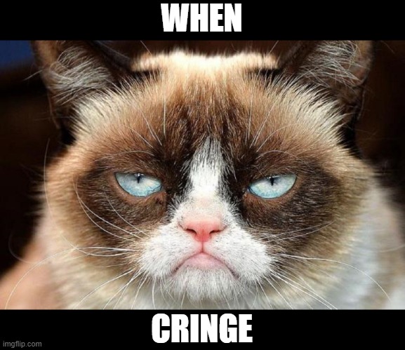 WHEN; CRINGE | image tagged in grumpy cat | made w/ Imgflip meme maker