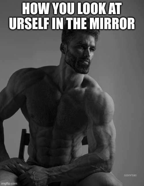 Giga Chad | HOW YOU LOOK AT URSELF IN THE MIRROR | image tagged in giga chad | made w/ Imgflip meme maker