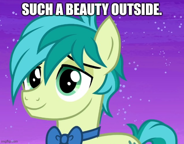 Happy Sandbar (MLP) | SUCH A BEAUTY OUTSIDE. | image tagged in happy sandbar mlp | made w/ Imgflip meme maker