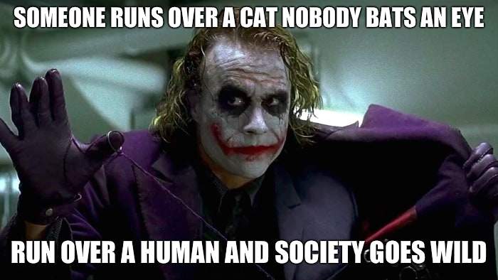 We live in a society | SOMEONE RUNS OVER A CAT NOBODY BATS AN EYE; RUN OVER A HUMAN AND SOCIETY GOES WILD | image tagged in we live in a society | made w/ Imgflip meme maker
