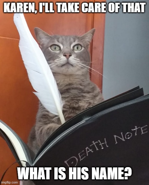 Death Note Cat | KAREN, I'LL TAKE CARE OF THAT; WHAT IS HIS NAME? | image tagged in cats,cat,funny cat,funny cats,cute cat | made w/ Imgflip meme maker
