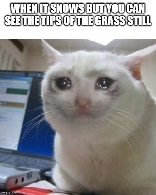 thats me rn | WHEN IT SNOWS BUT YOU CAN SEE THE TIPS OF THE GRASS STILL | image tagged in crying cat | made w/ Imgflip meme maker