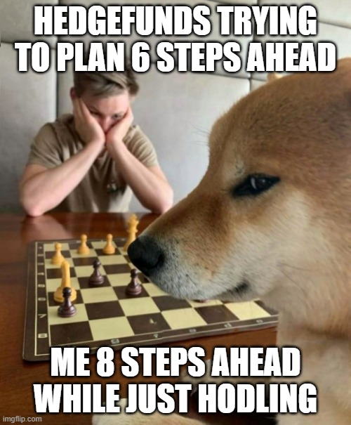 doge hodling |  HEDGEFUNDS TRYING TO PLAN 6 STEPS AHEAD; ME 8 STEPS AHEAD WHILE JUST HODLING | image tagged in chess doge,hedgefunds,doge,hodl | made w/ Imgflip meme maker