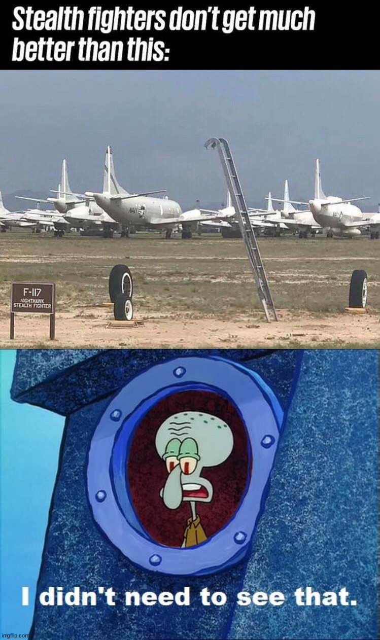 I just don't see what they are talking about. | image tagged in squidward - i didn't need to see that,stealth,invisible,when you see it | made w/ Imgflip meme maker