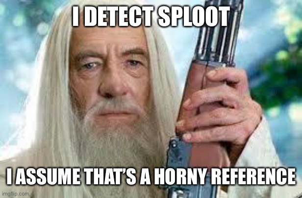 Shotgun Gandalf | I DETECT SPLOOT I ASSUME THAT’S A HORNY REFERENCE | image tagged in shotgun gandalf | made w/ Imgflip meme maker