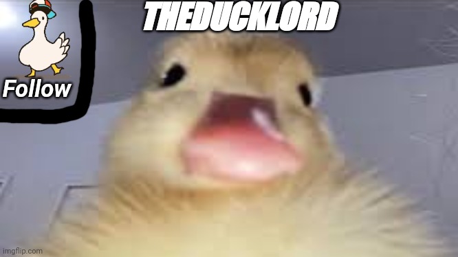 High Quality Theducklord template 2 Blank Meme Template